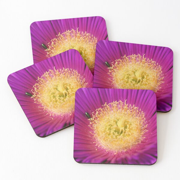 Item preview, Carpobrotus edulis designed and sold by vribeiro.