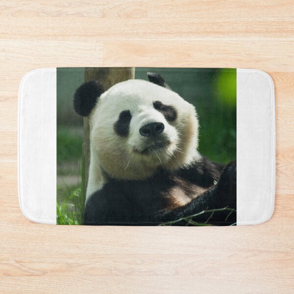 Item preview, Sunshine the Panda  designed and sold by hawkie.