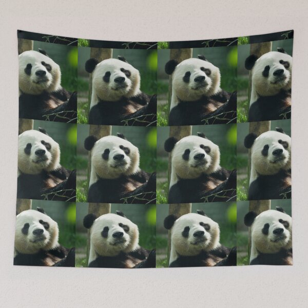 Item preview, Sunshine the Panda  designed and sold by hawkie.