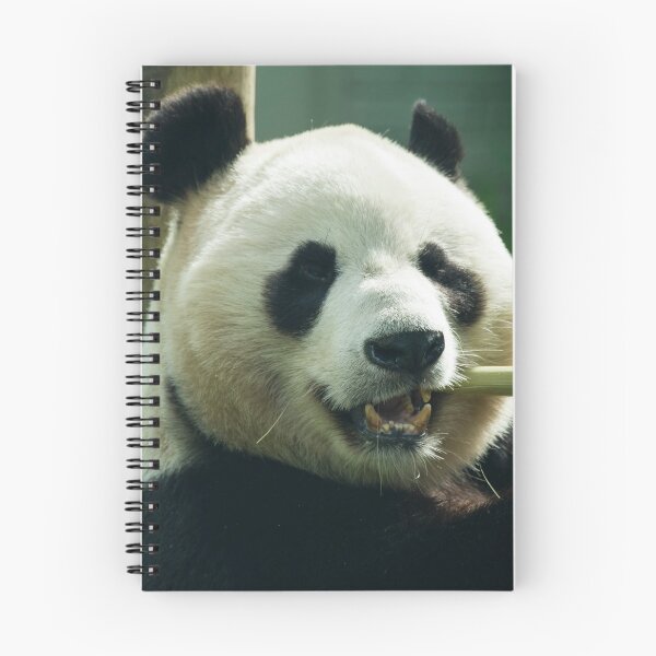 Item preview, Yang Guang  designed and sold by hawkie.
