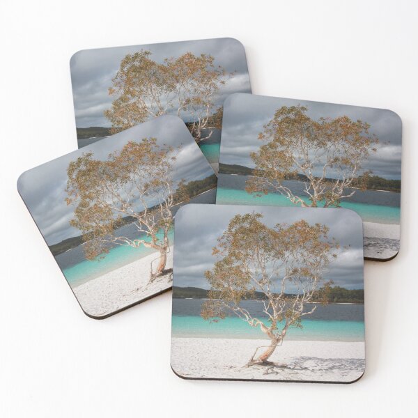 Item preview, Tree At Lake Mackenzie designed and sold by DividedFortune.