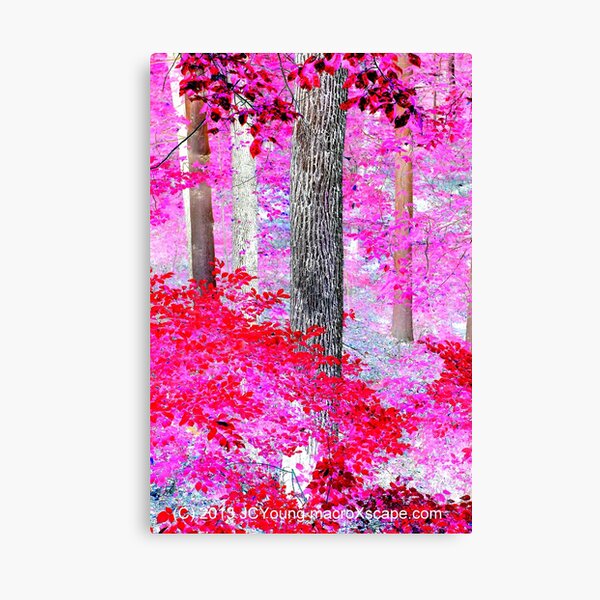 Red Forest Canvas Print