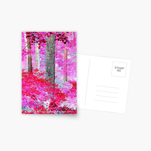 Red Forest Postcard