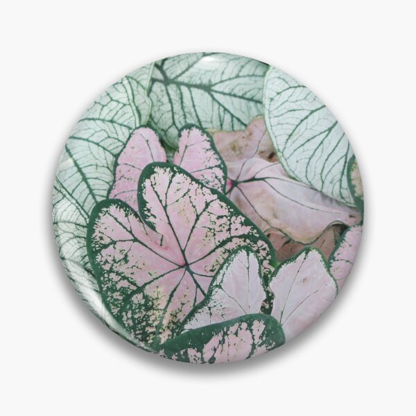 Item preview, LEAFS LEAFFY LEAFS designed and sold by MissVania Speaks.