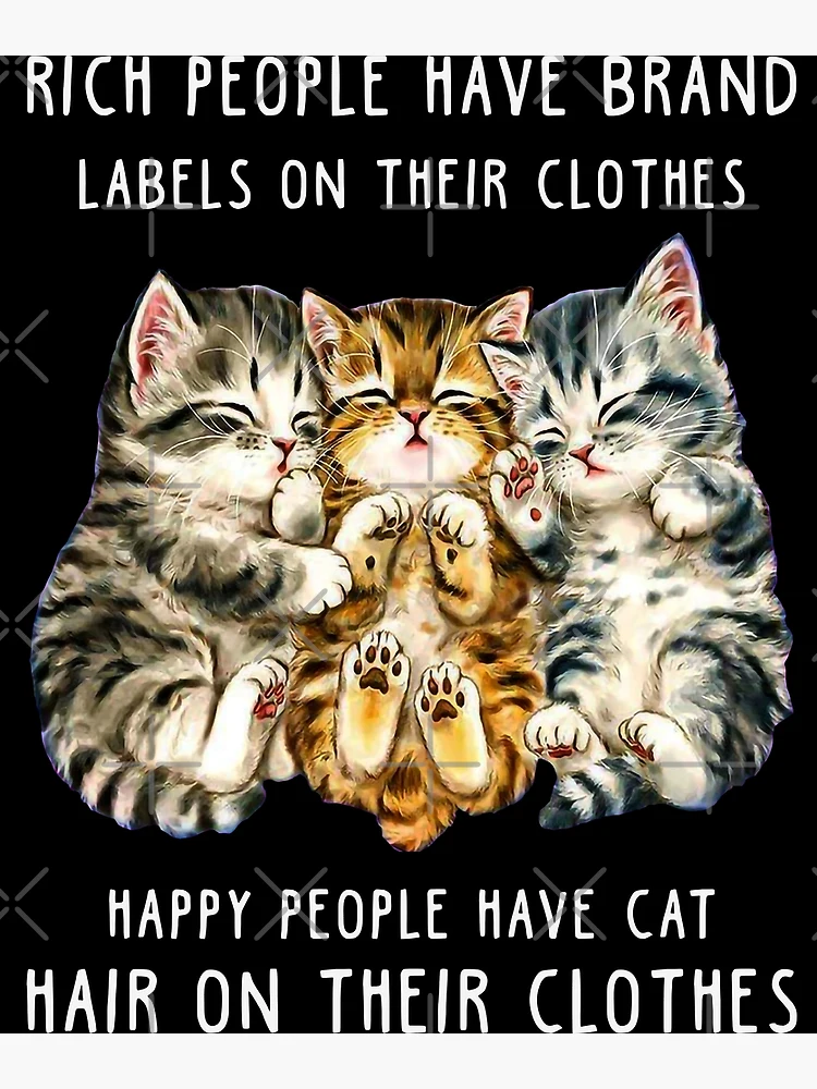 Happy People Have Cat Hair On Their Clothes, Funny Cat Lovers Poster for  Sale by blisschimp