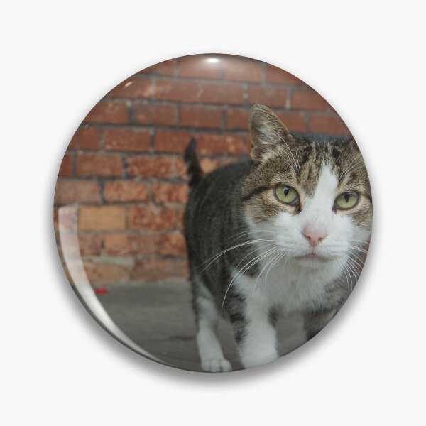 Artikelvorschau, Hier Kater entworfen und verkauft von hawkie.