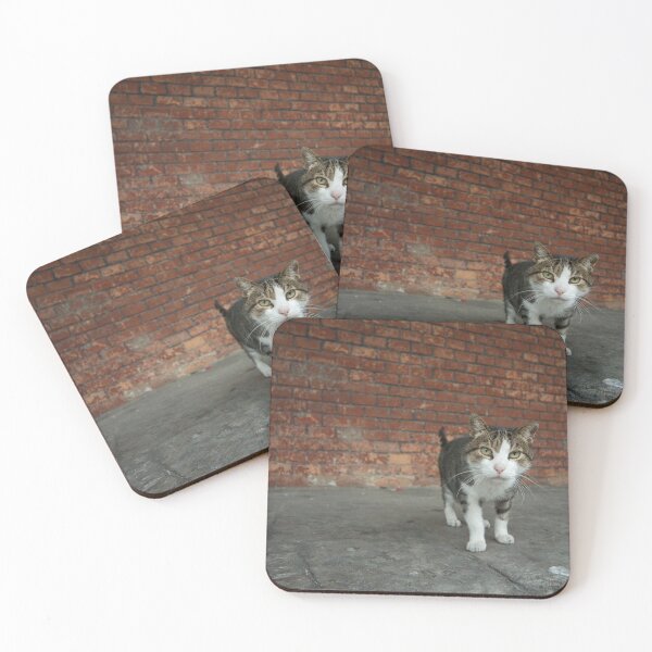 Item preview, Here Puss  designed and sold by hawkie.