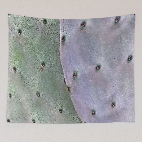Item preview, Prickling Pear Cactus Nopale Closeup designed and sold by Anna Lemos.