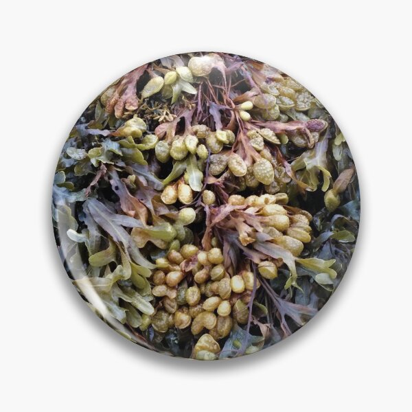 Artikelvorschau, See Weed - Seaweed (Muster) entworfen und verkauft von Yampimon.