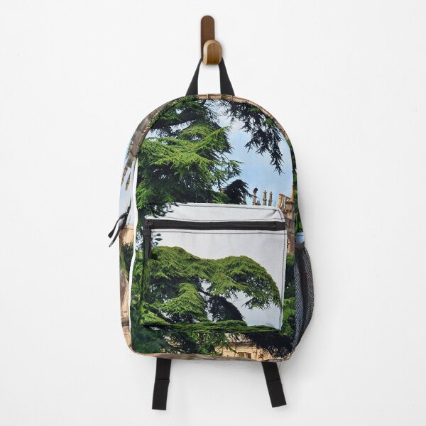 Item preview, Highclere Castle Downton Abbey England UK designed and sold by AndyEvansPhotos.