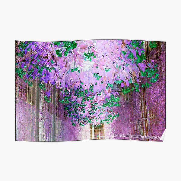 Dream Garden Poster