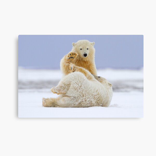 High Five Canvas Print