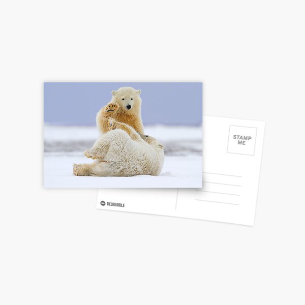 High Five Postcard