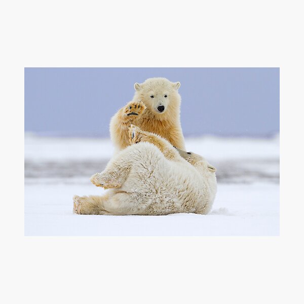 High Five Photographic Print