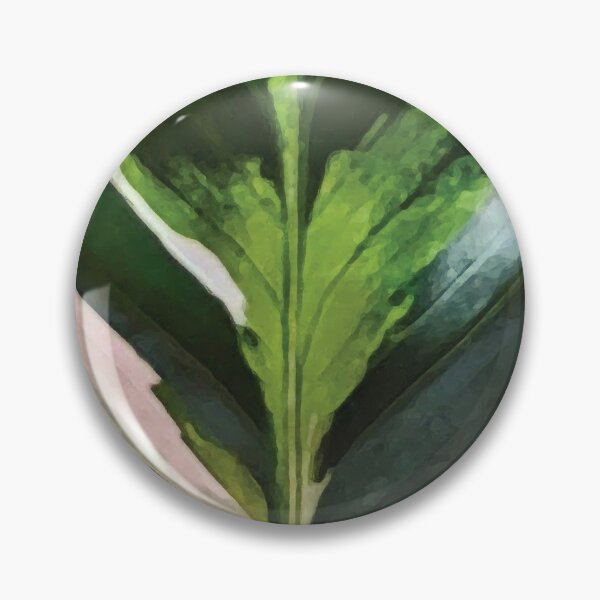 Item preview, Calathea White Fusion designed and sold by YingDude.