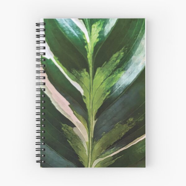 Item preview, Calathea White Fusion designed and sold by YingDude.