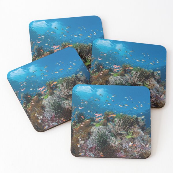 Item preview, Coral reef scene in Indonesia designed and sold by Jose Antonio  Castellano Garrido.
