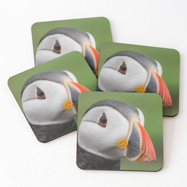 Item preview, Posing Puffin designed and sold by iCimages.net.