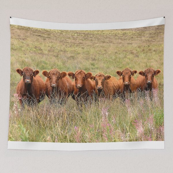 Item preview, Nosey cows designed and sold by angieblue-25.
