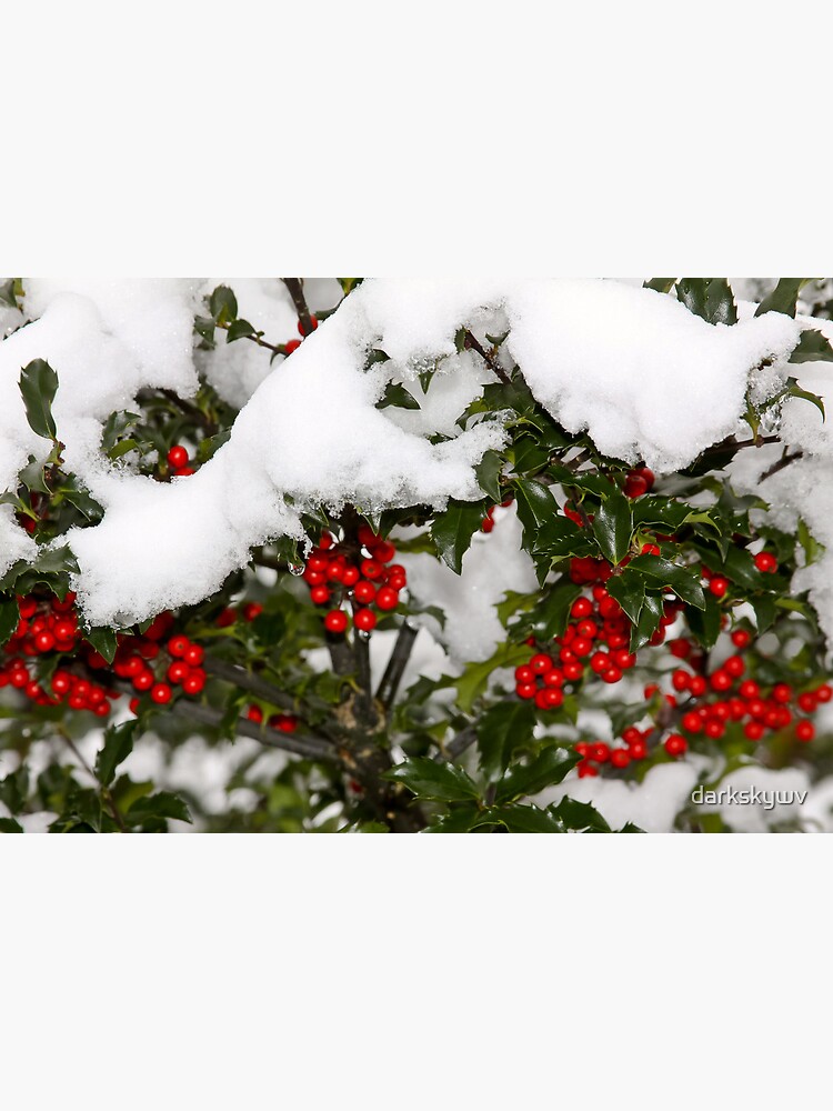 Thumbnail 2 of 2, Greeting Card, Holly and Snow designed and sold by darkskywv.