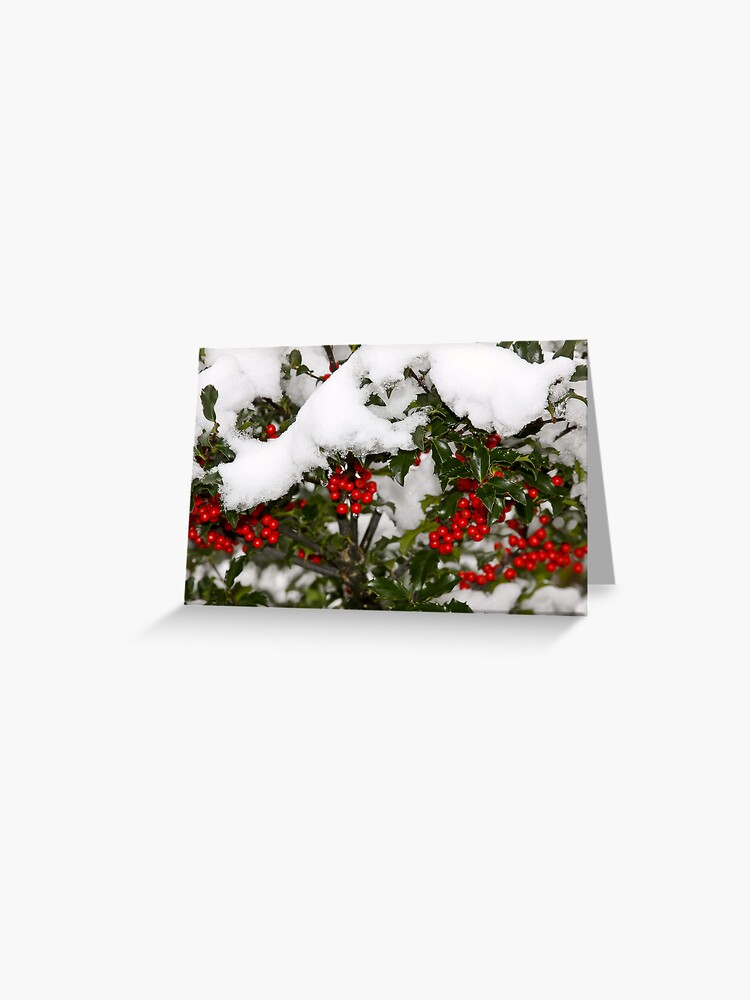 Thumbnail 1 of 2, Greeting Card, Holly and Snow designed and sold by darkskywv.