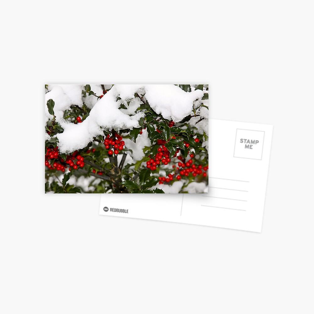 Item preview, Postcard designed and sold by darkskywv.
