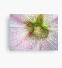Refresh Canvas Print