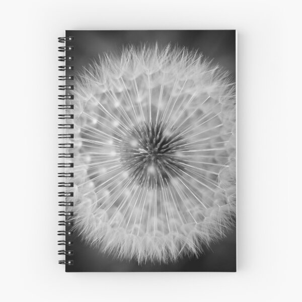 Item preview, Dandelion designed and sold by MLP Fine Art.