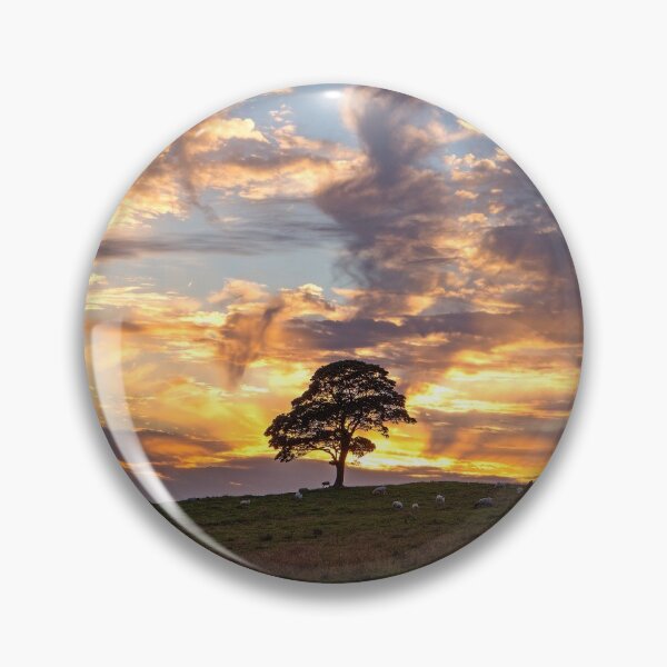 Item preview, The Cuckoo Tree. Sycamore Tree. designed and sold by angieblue-25.