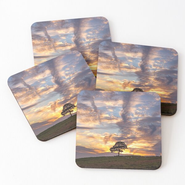 Item preview, The Cuckoo Tree. Sycamore Tree. designed and sold by angieblue-25.