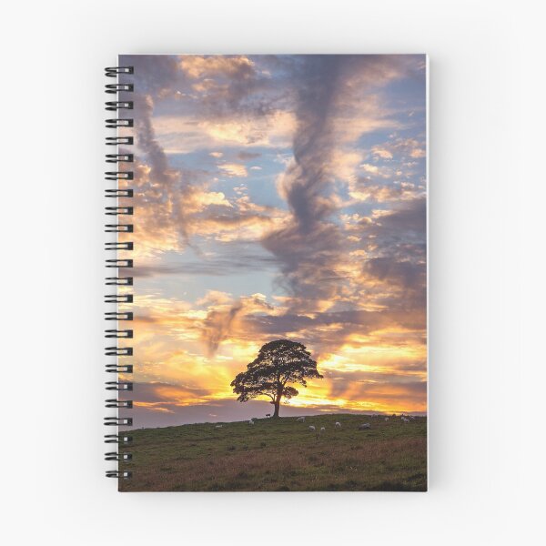 Item preview, The Cuckoo Tree. Sycamore Tree. designed and sold by angieblue-25.