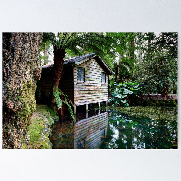 Item preview, Alfred Nichols Gardens designed and sold by deltafive.