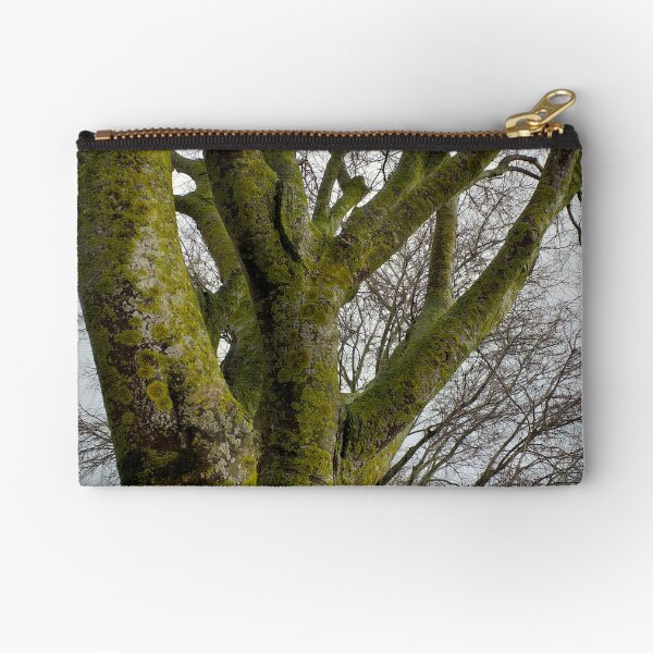 Item preview, Mossy Bare Tree Winter Cloudy Sky designed and sold by Anna Lemos.