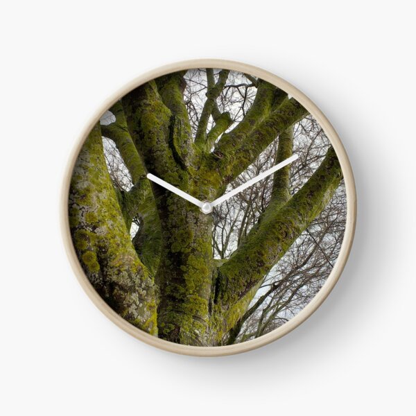 Item preview, Mossy Bare Tree Winter Cloudy Sky designed and sold by Anna Lemos.