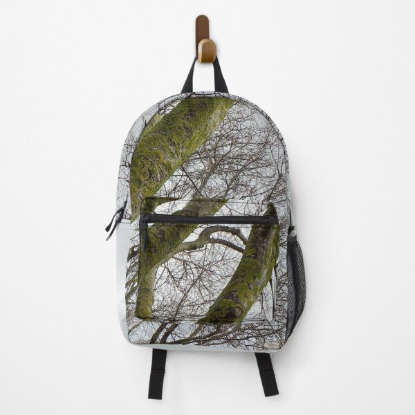 Item preview, Mossy Bare Tree Winter Cloudy Sky designed and sold by Anna Lemos.