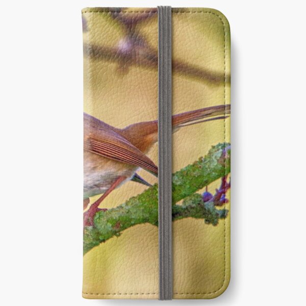 Robin iPhone Wallet