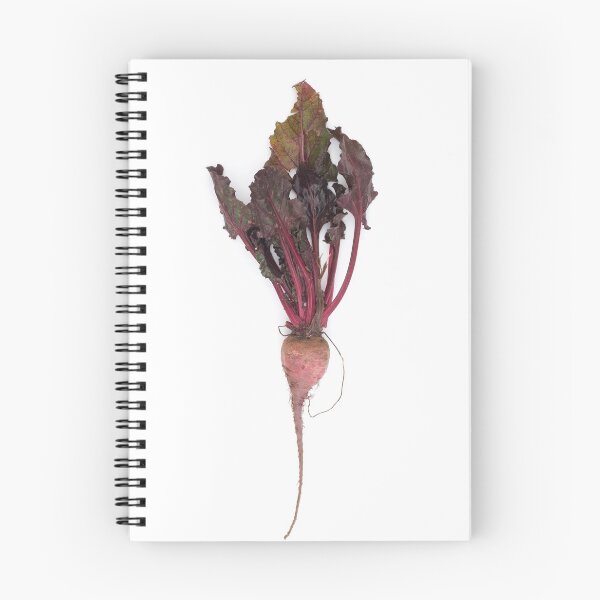 Item preview, Beetroot designed and sold by troianifabrizio.