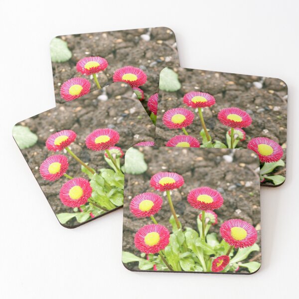 Item preview, Pink and Yellow Common Daisies designed and sold by pinkal.