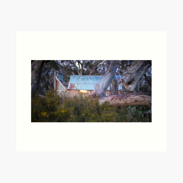 Item preview, The Window's Story designed and sold by Mark Lucey.