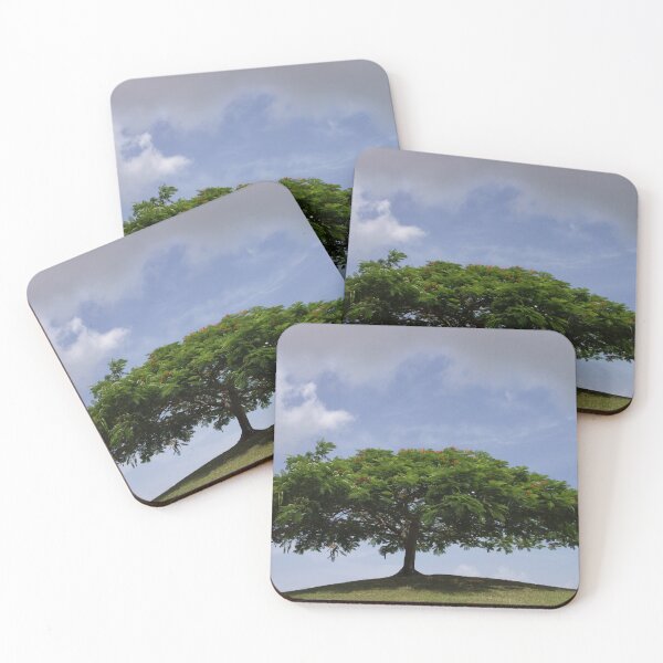 Item preview, shade designed and sold by blacqbook.
