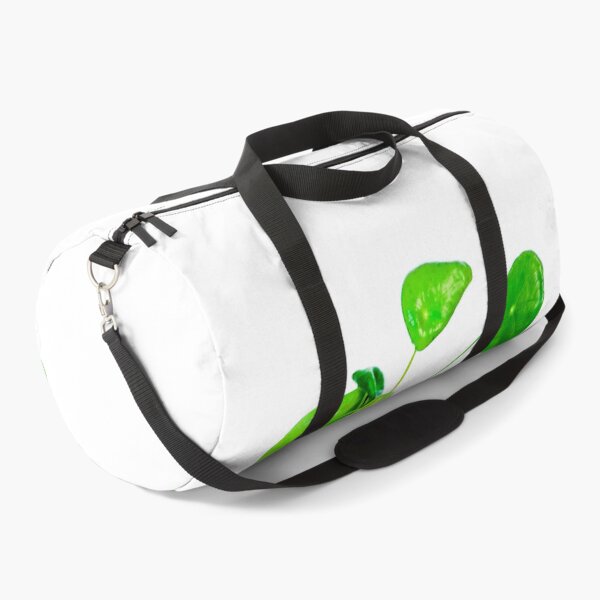 Item preview, Pilea baby! Pileapilea peperomioides or Chinese money or UFO plant on white designed and sold by HTPOP.