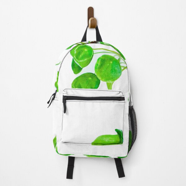 Item preview, Pilea baby! Pileapilea peperomioides or Chinese money or UFO plant on white designed and sold by HTPOP.