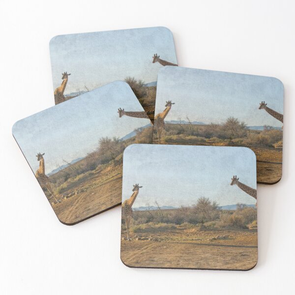 Item preview, Two giraffes in South Africa designed and sold by Photopat.