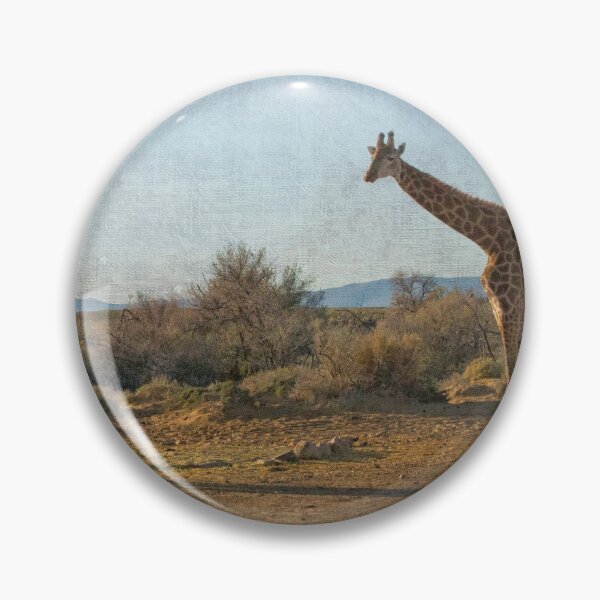 Item preview, Two giraffes in South Africa designed and sold by Photopat.