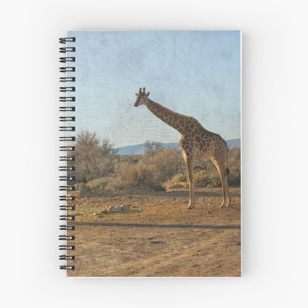 Item preview, Two giraffes in South Africa designed and sold by Photopat.