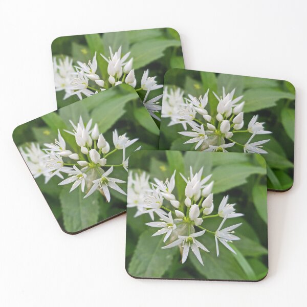 Item preview, Yorkshire Wild Garlic designed and sold by Kat Simmons.