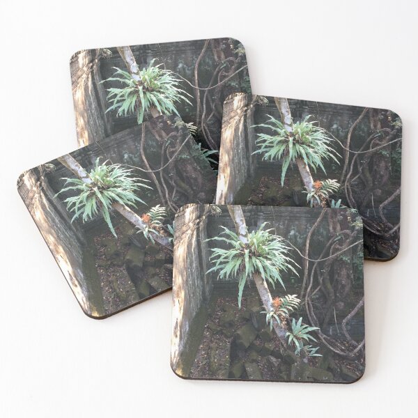 Item preview, Tropical designed and sold by Linnys-Designs.