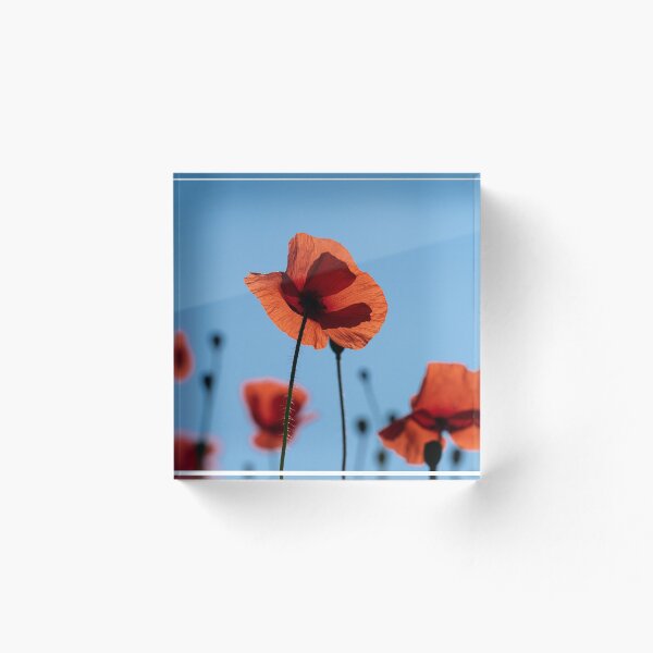 Item preview, Poppies sky designed and sold by gelibolu.
