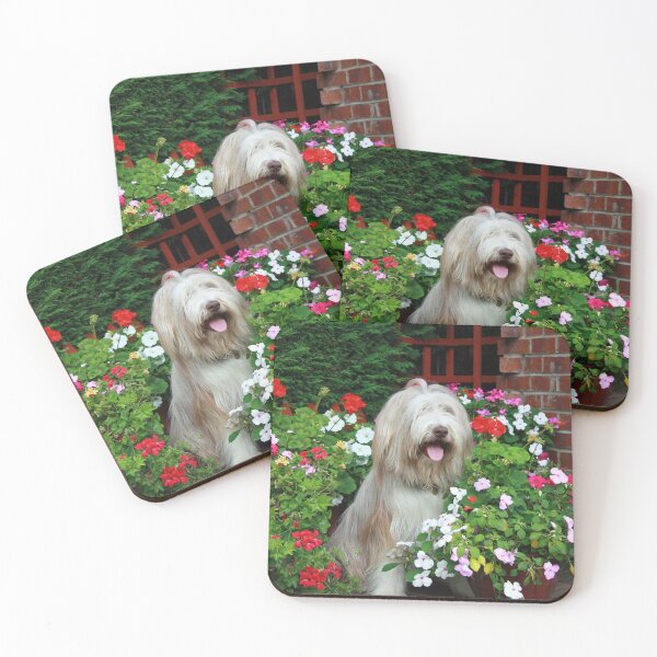 Item preview, Skye The Bearded Collie Dog designed and sold by Paul Thompson Photography.