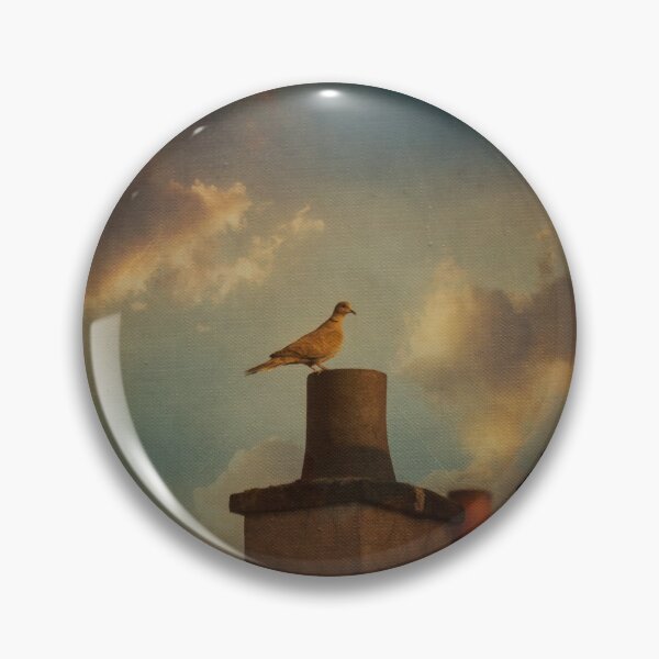 Item preview, pigeon sitting on a chimney designed and sold by Dyrk Wyst Redbubble Shop.